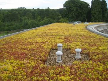 Talford 官方 green roof 公開圖片參考